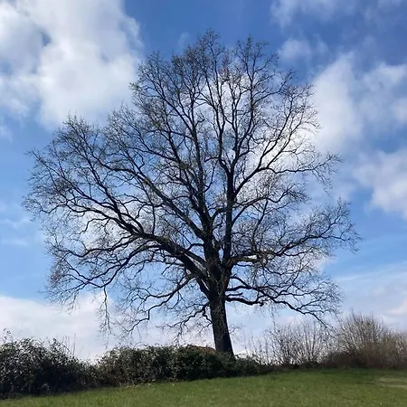 فندق مبيت وإفطار Il Ciapine 3*