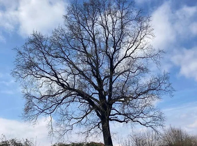 Bed & Breakfast Il Ciapine 3*