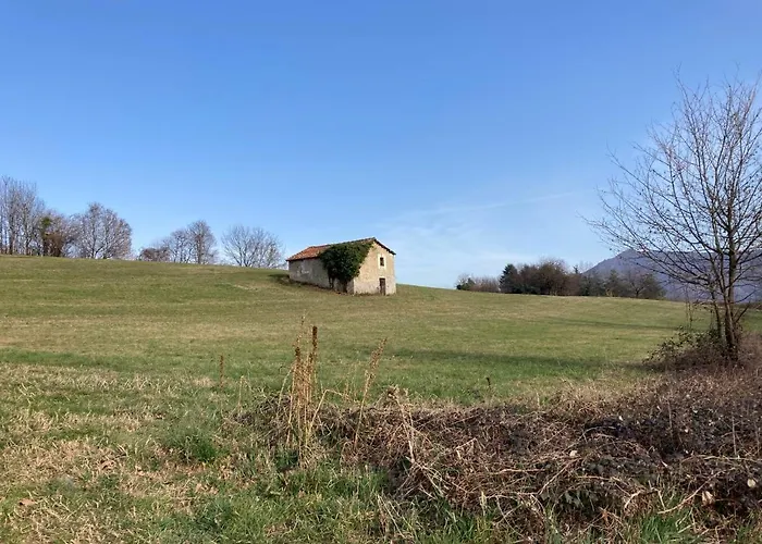 Il Ciapine